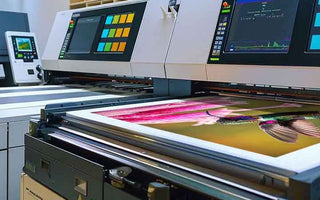 Boost Your Business with Print Zoo’s Comprehensive Printing Solutions